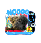 玖路クロLIFE2（個別スタンプ：3）