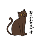 みほさん家のハナちゃん（個別スタンプ：3）