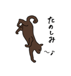 みほさん家のハナちゃん（個別スタンプ：11）