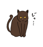 みほさん家のハナちゃん（個別スタンプ：21）
