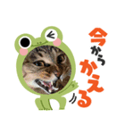 我が家のボーちゃん（個別スタンプ：4）
