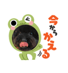 我が家のボーちゃん（個別スタンプ：7）