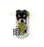 ロクk（個別スタンプ：1）