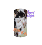 ロクk（個別スタンプ：2）