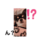 ロクk（個別スタンプ：3）