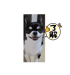 ロクk（個別スタンプ：6）