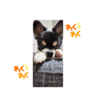 ロクk（個別スタンプ：8）