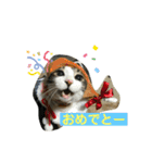 ニャンまげ丼（個別スタンプ：12）