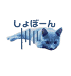 子猫のブリオ（個別スタンプ：1）