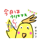 らくがき おかめインコ 冬（個別スタンプ：3）