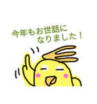 らくがき おかめインコ 冬（個別スタンプ：9）