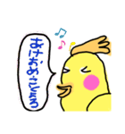 らくがき おかめインコ 冬（個別スタンプ：17）