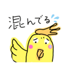 らくがき おかめインコ 冬（個別スタンプ：32）
