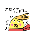 らくがき おかめインコ 冬（個別スタンプ：33）
