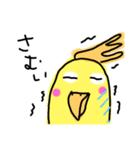 らくがき おかめインコ 冬（個別スタンプ：34）