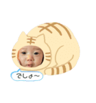 乃琶スタンプ②（個別スタンプ：15）