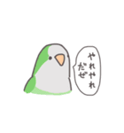 自由なインコと文鳥たち（個別スタンプ：17）