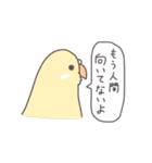 自由なインコと文鳥たち（個別スタンプ：28）