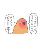 自由なインコと文鳥たち（個別スタンプ：32）