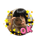 八の字まゆげの女の子3（個別スタンプ：1）