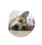 love.ing（個別スタンプ：5）