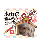 色んな場面で使えるスタンプ(≧◡≦)（個別スタンプ：3）