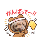 色んな場面で使えるスタンプ(≧◡≦)（個別スタンプ：6）