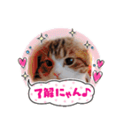色んな場面で使えるスタンプ(≧◡≦)（個別スタンプ：8）