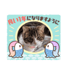 色んな場面で使えるスタンプ(≧◡≦)（個別スタンプ：9）