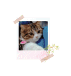 色んな場面で使えるスタンプ(≧◡≦)（個別スタンプ：10）
