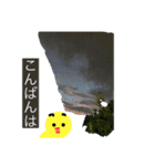 あなたを包みこむ…ひよこちゃん（個別スタンプ：5）