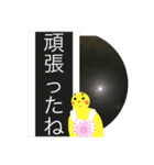 あなたを包みこむ…ひよこちゃん（個別スタンプ：9）