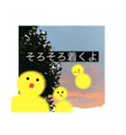 あなたを包みこむ…ひよこちゃん（個別スタンプ：10）