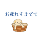 わんこスタンプ1(よく使う言葉セット)（個別スタンプ：26）