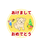 わんこスタンプ1(よく使う言葉セット)（個別スタンプ：40）