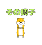 真・激しく尻尾をふる柴犬 2 POP（個別スタンプ：19）