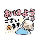 私のわんこ2（個別スタンプ：2）