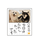雪＆オーマVol.1.2set（個別スタンプ：14）