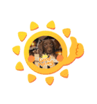Choco Lab Moana's stamp（個別スタンプ：1）