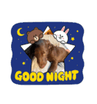 Choco Lab Moana's stamp（個別スタンプ：14）