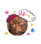 Choco Lab Moana's stamp（個別スタンプ：18）