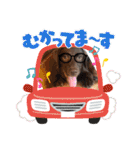 Choco Lab Moana's stamp（個別スタンプ：22）
