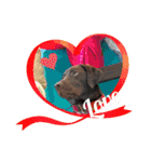 Choco Lab Moana's stamp（個別スタンプ：25）