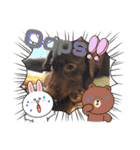 Choco Lab Moana's stamp（個別スタンプ：28）