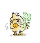 番組収録する鳥（個別スタンプ：40）