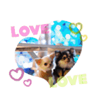 ♡♣♤♥chiwaham♥♦♧♠（個別スタンプ：5）