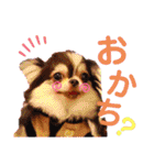 ♡♣♤♥chiwaham♥♦♧♠（個別スタンプ：7）