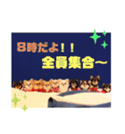 ♡♣♤♥chiwaham♥♦♧♠（個別スタンプ：8）