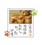 ♡♣♤♥chiwaham♥♦♧♠（個別スタンプ：11）