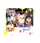 ♡♣♤♥chiwaham♥♦♧♠（個別スタンプ：19）